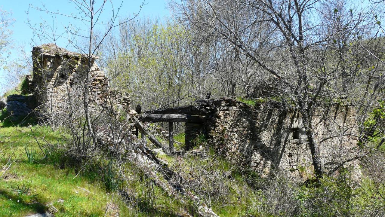 Villa El Huerto De Leon Pradena del Rincon Esterno foto