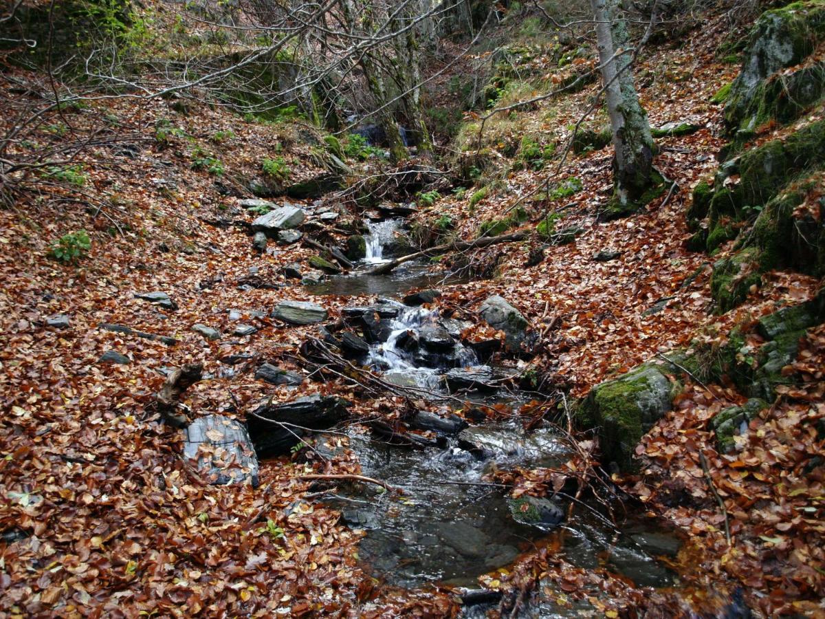 Villa El Huerto De Leon Pradena del Rincon Esterno foto