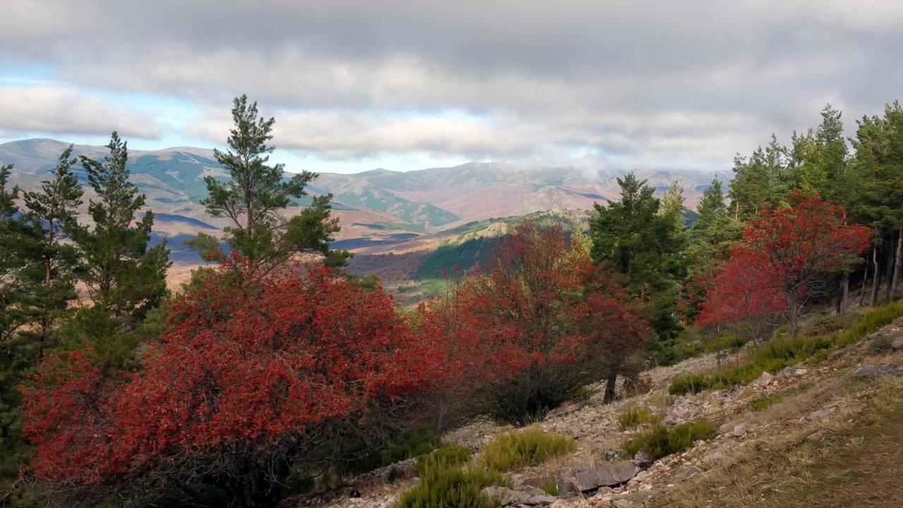 Villa El Huerto De Leon Pradena del Rincon Esterno foto