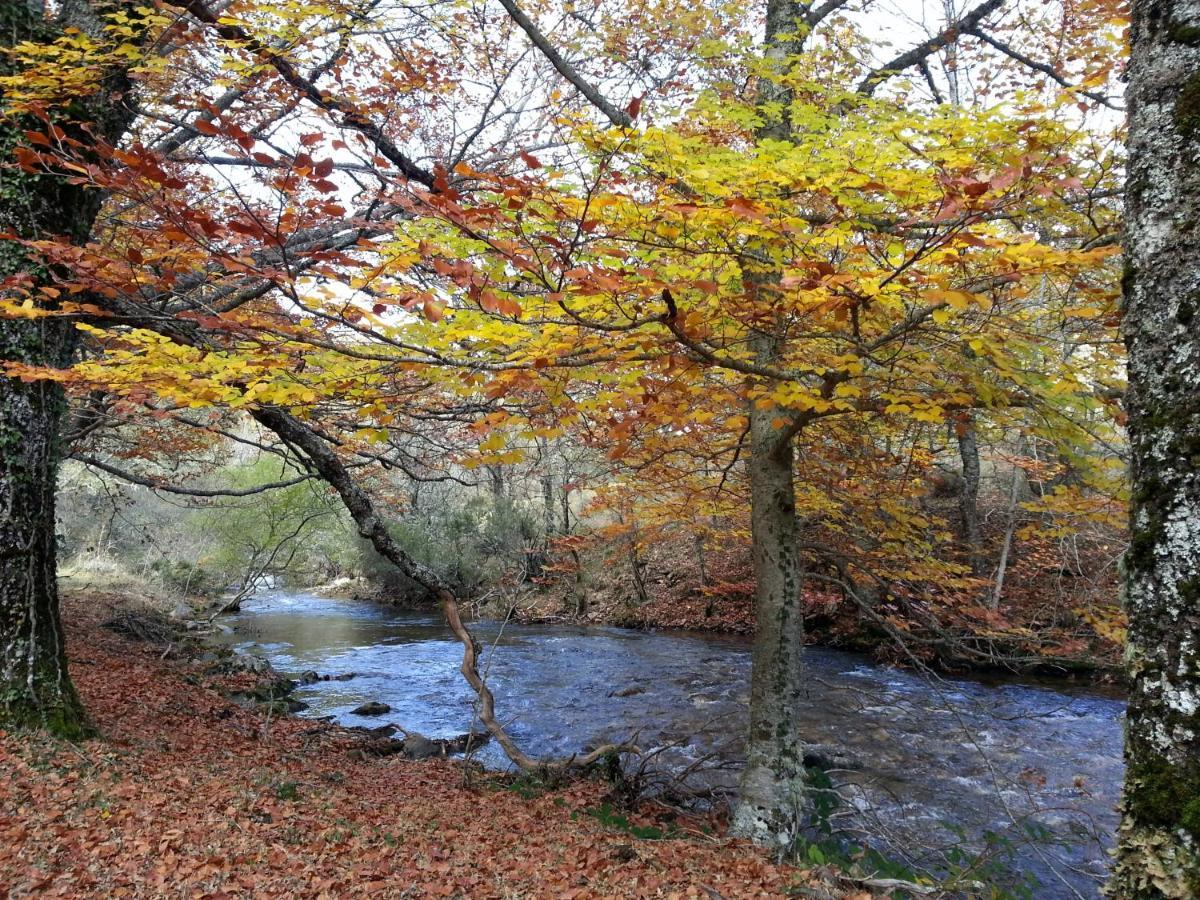 Villa El Huerto De Leon Pradena del Rincon Esterno foto